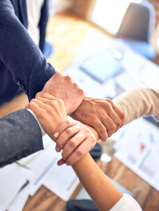 Team Privilege Partners